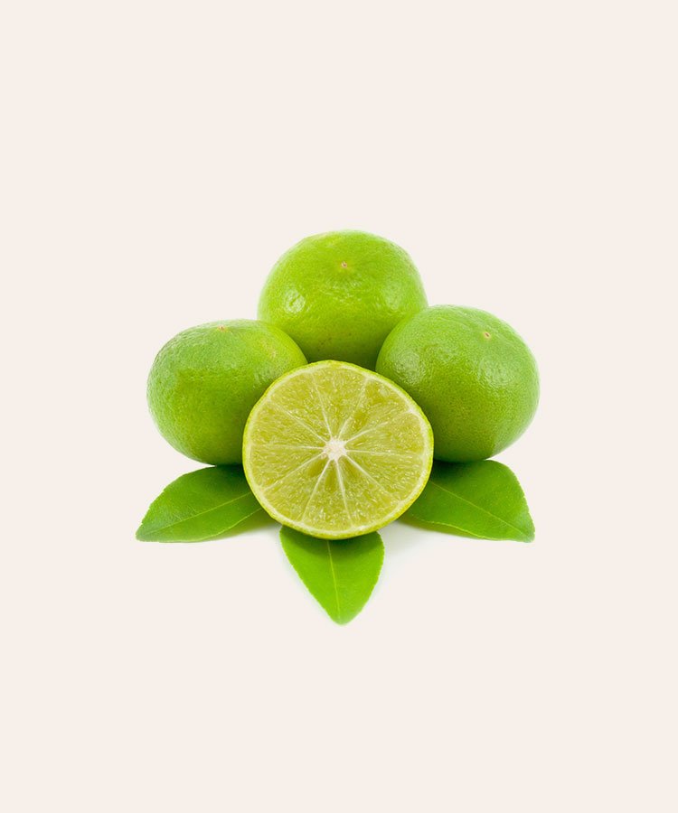 VEGETABLES - Image 2